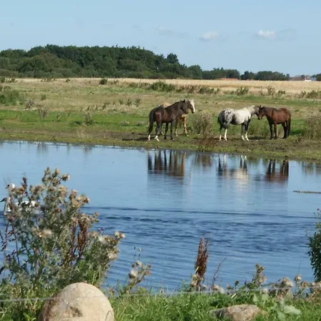 Hyggeligt Ved Havn Holiday home *